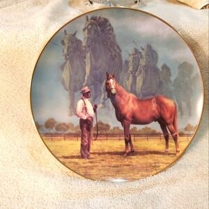 MAN OF WAR COLLECTOR PLATE